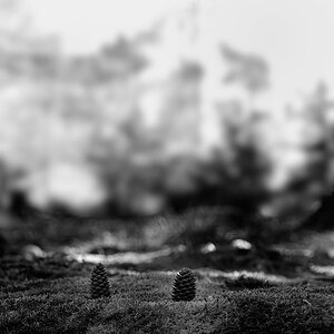 P1023228a_klein.jpg