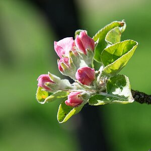 DSC_0787_DxO.jpg