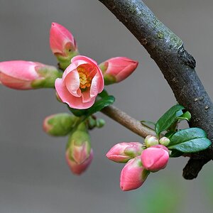 DSC_2063_DxO.jpg