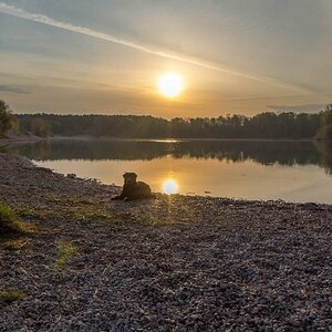 DSC_0106.jpg