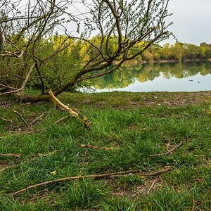 DSC_0139.jpg