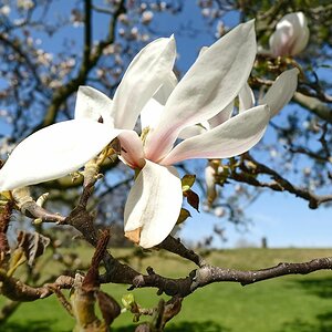 DSCF7321 3.jpg