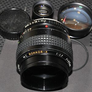DSC_10798.jpg