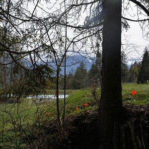 Auf Wanderschaft