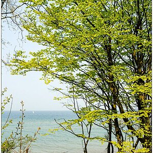 184 Steilküste bei Dänisch-Nienhof (2006 mit Nikon D200)
