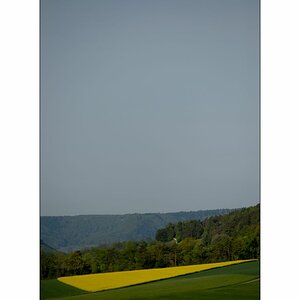 SasaDSC_3641.jpg