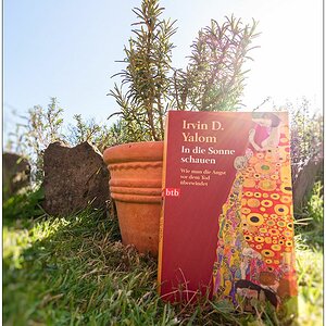 190 In die Sonne schauen