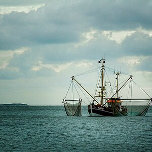 DSC_0396.jpg