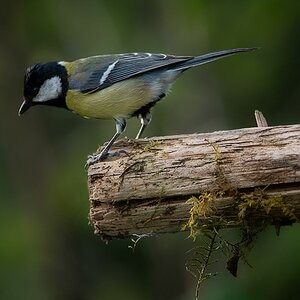 _DSC0625-Bearbeitet-Bearbeitet-1.jpg