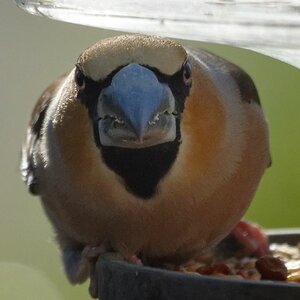 D72_5656_DxO.jpg