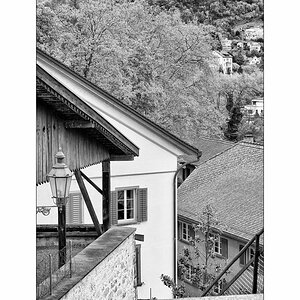 SasaDSC_0194.jpg