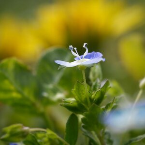 DSC_3274_DxO.jpg