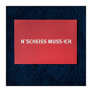 197 'N Scheiss muss ich