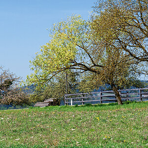 DSC_0672_DxO.jpg
