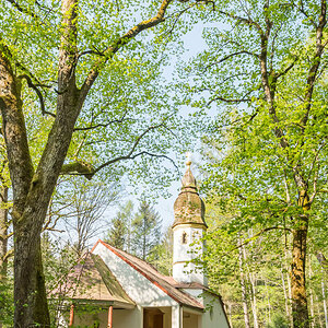 Hund vor Kapelle