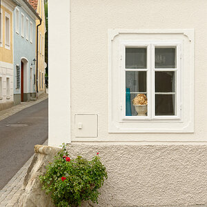 DSC_6287_DxO.jpg