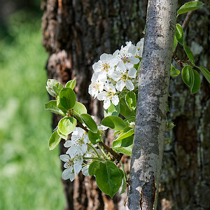 DSC_0732_DxO.jpg
