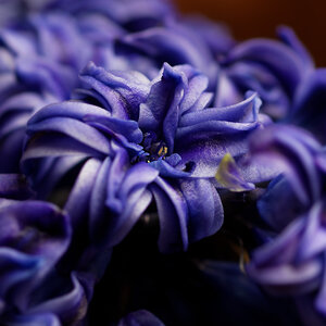 DSC_2024_DxO-1.jpg