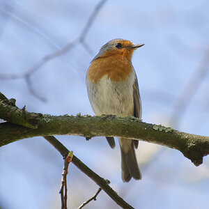 _DSC7565NF.jpg