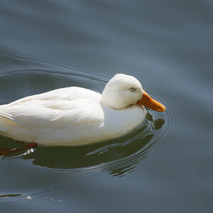 _DSC7559NF.jpg