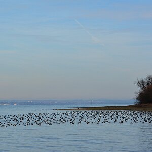 Bodensee