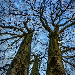 TZ_DSC01402_B.jpg