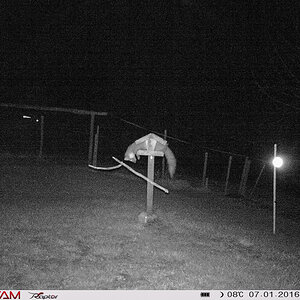 2020-03-28_Secacam_A0500.jpg