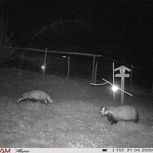 2020-04-21_Secacam_A0573.jpg