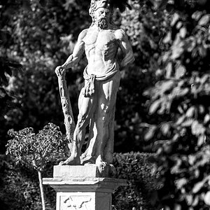 20200426-007.jpg