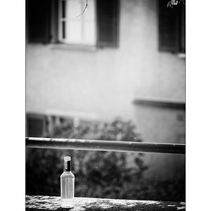 SasaDSC_0210.jpg