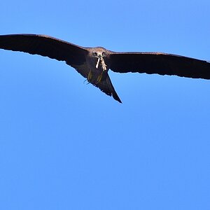 2020_12455.jpg