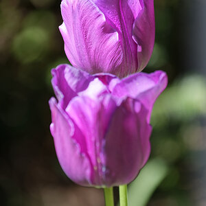 _DSC7550NF.jpg