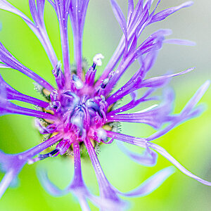 _HAR3778.jpg