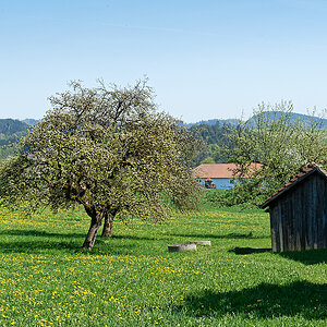 DSC_0691_DxO.jpg