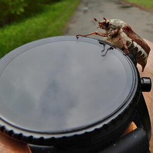 DSCN4706.jpg