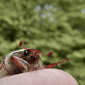 DSCN4722.jpg