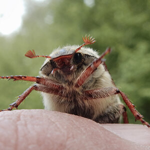 DSCN4738.jpg