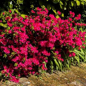 TZ_DSC01424_A.jpg