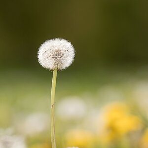 comp__H012132.jpg