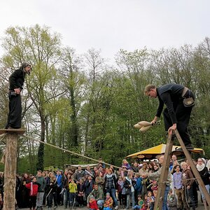 1 (17).jpg