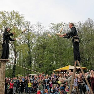 1 (19).jpg