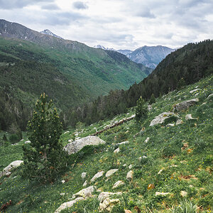 IMG_2019-06-06_07-55-14.jpg