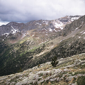 IMG_2019-06-06_12-55-17.jpg