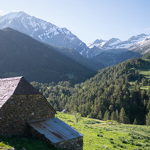 IMG_2019-06-08_08-52-32.jpg