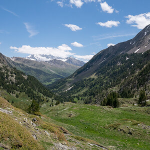 IMG_2019-06-08_13-29-57.jpg