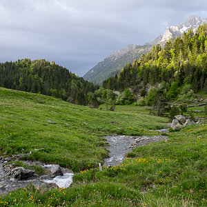 IMG_2019-06-09_08-16-53.jpg