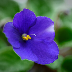 DSC_5141_DxO.jpg
