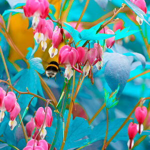 D72_5697_DxO.jpg