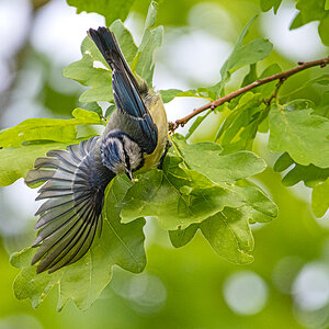 OF5_00324.jpg
