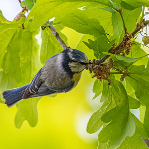 OF5_00319.jpg